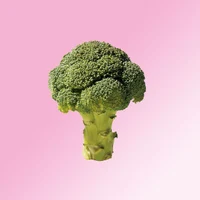 Комплекс для женского здоровья